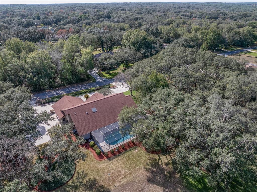 115 East Ireland Court Hernando, FL 34442 - Photo 54 of 55 an aerial view of a house with a yard