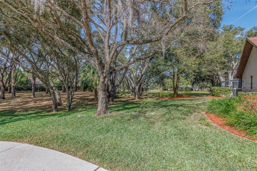 115 East Ireland Court Hernando, FL 34442 - Photo 6 of 55 a view of a park with large trees