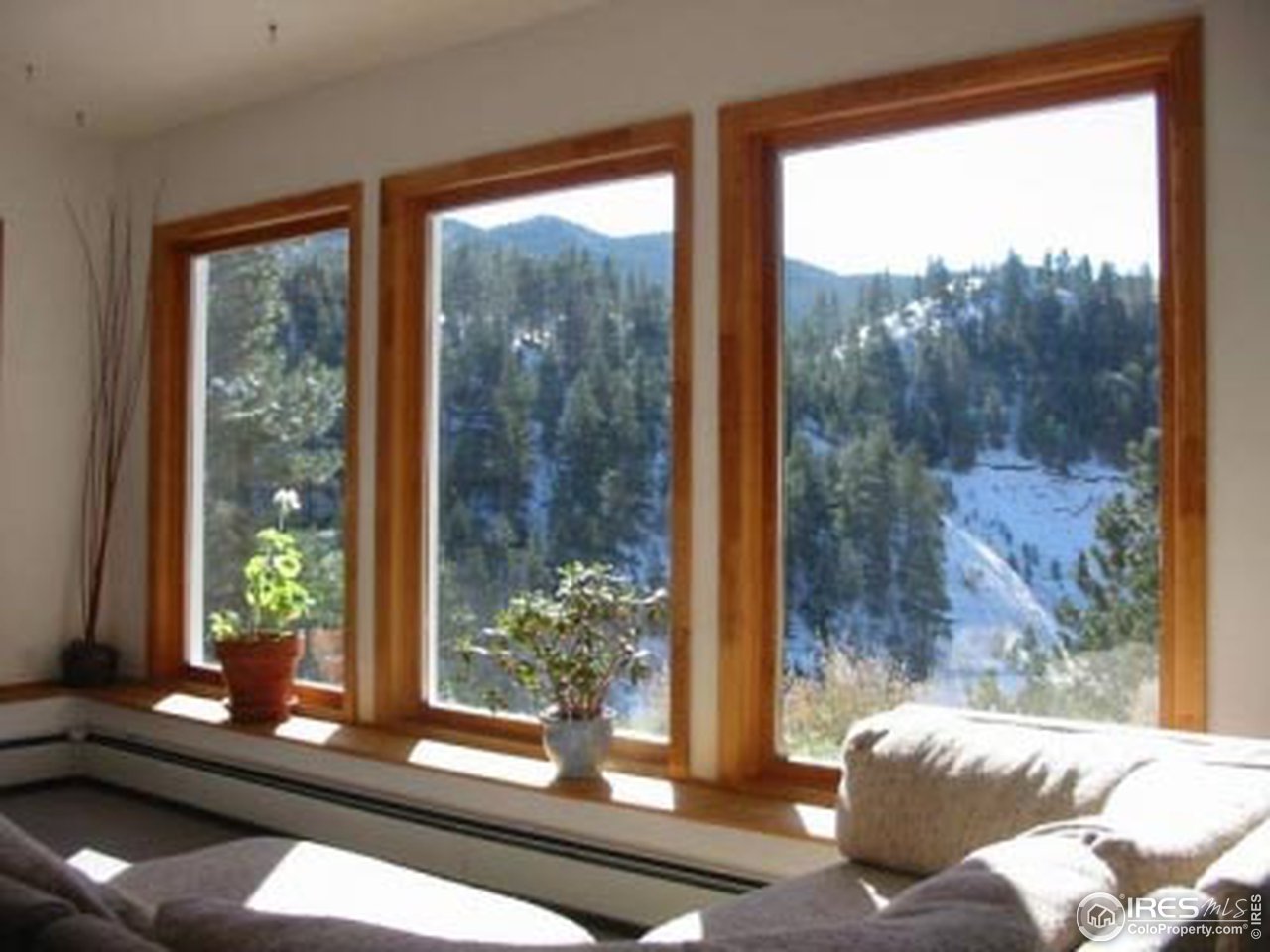 18 Pine Street Jamestown, CO 80455 - Photo 3 of 9 a living room with furniture and a potted plant