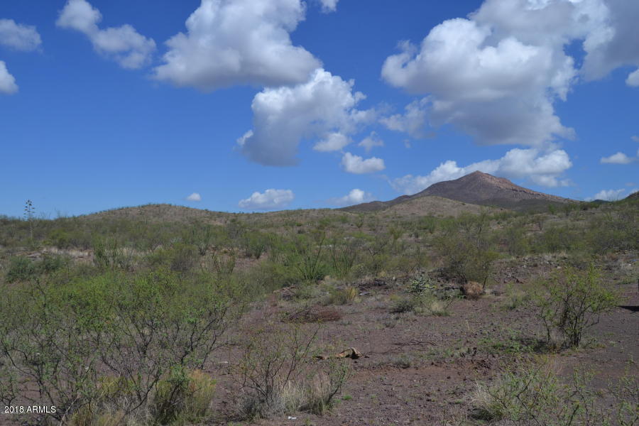 4747 East Walnut Spring Road, Unit 42 Douglas, AZ 85607 - Photo 18 of 19 20180909035517423578000000-o