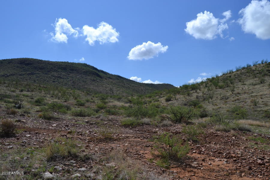 4747 East Walnut Spring Road, Unit 42 Douglas, AZ 85607 - Photo 19 of 19 20180909035538965591000000-o