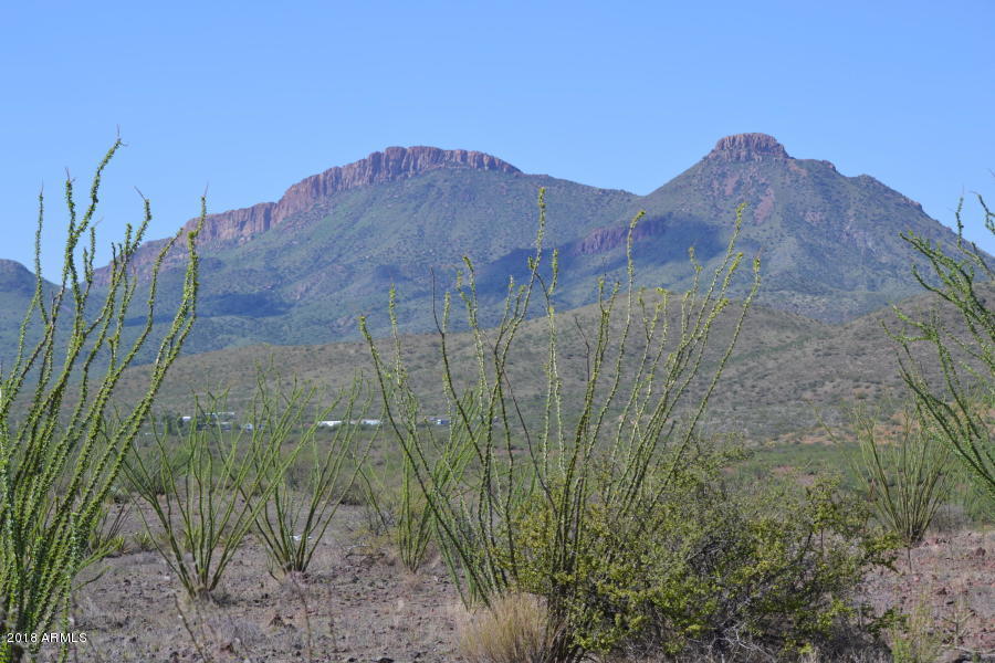 4747 East Walnut Spring Road, Unit 42 Douglas, AZ 85607 - Photo 3 of 19 20180909034938655639000000-o
