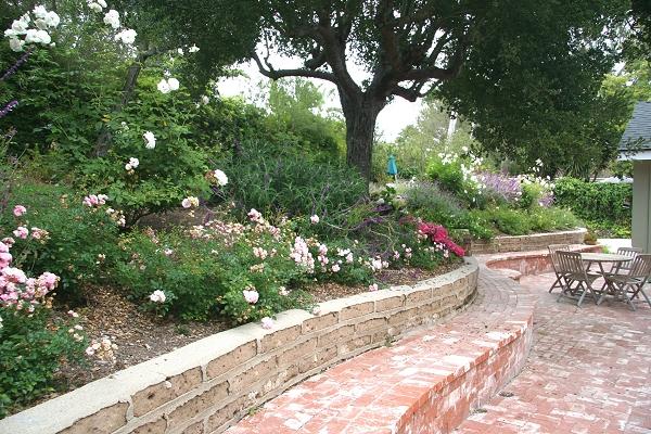 213 Alston Road Santa Barbara, CA 93108 - Photo 12 of 13 a garden with a tree in the back
