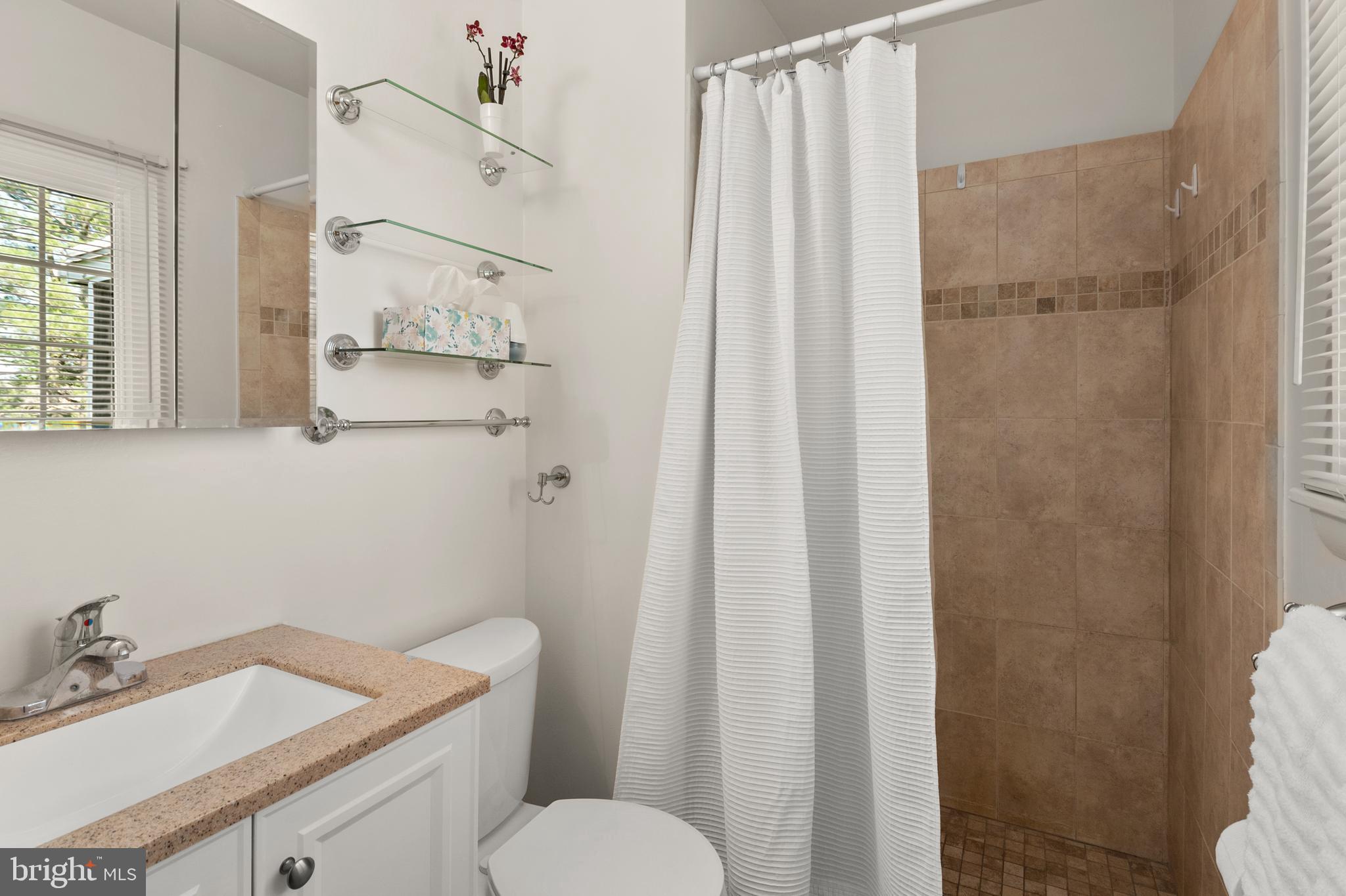 4214 High Ridge Road Haymarket, VA 20169 - Photo 18 of 55 Primary Bath