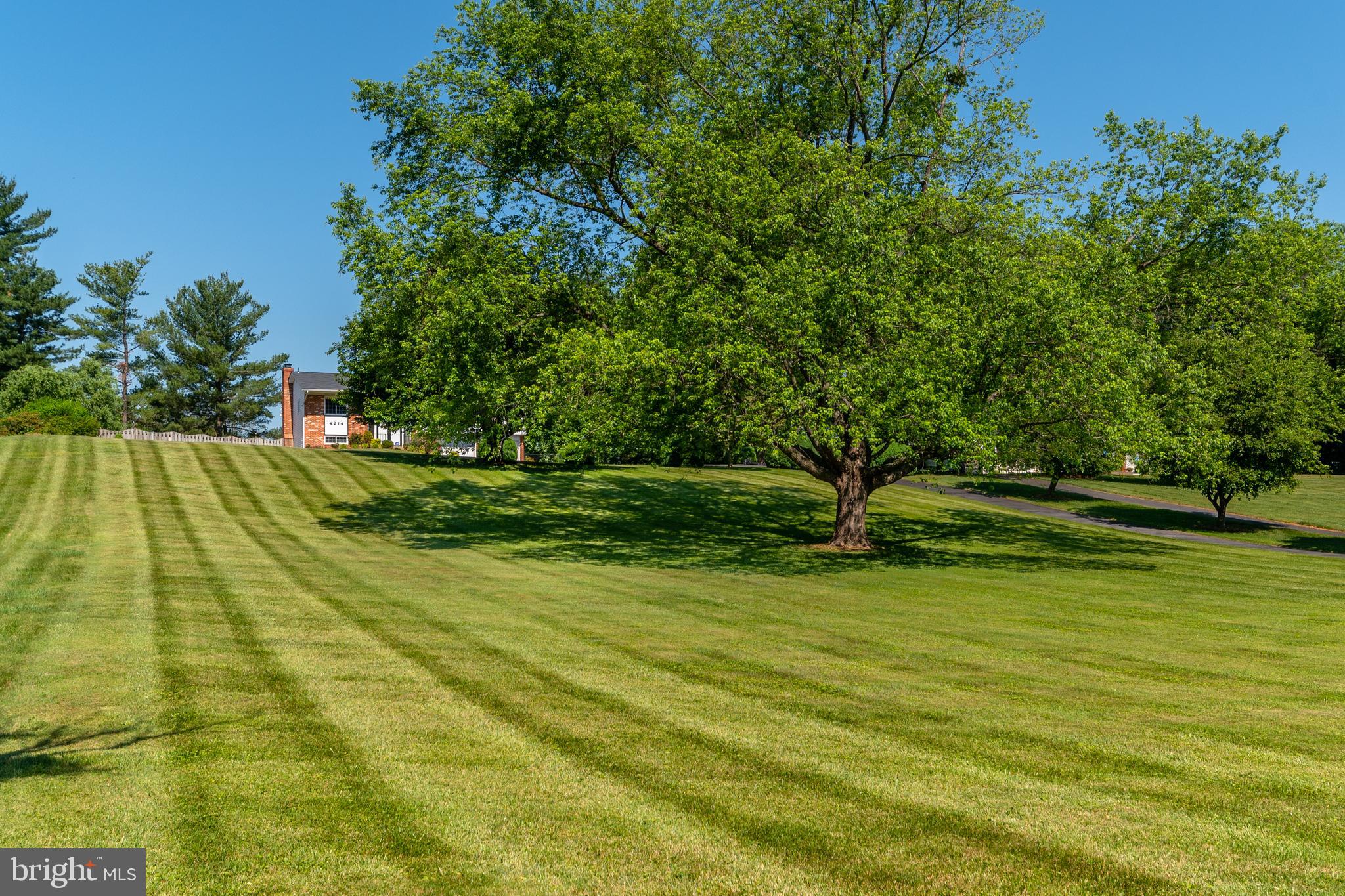 4214 High Ridge Road Haymarket, VA 20169 - Photo 51 of 55 Exterior