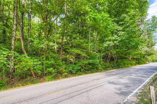 a view of a garden from a window