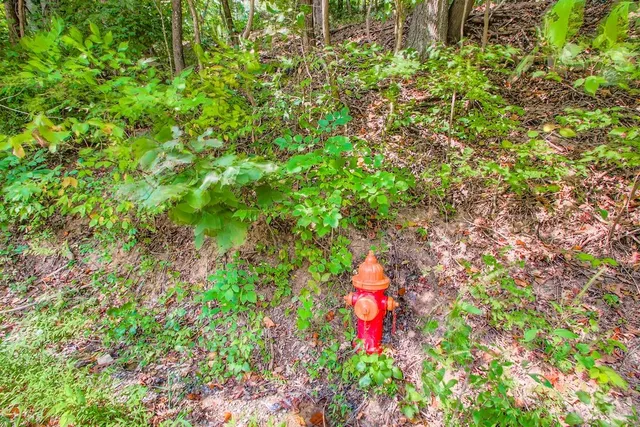 $290,000 | 0 Brick Church Pike, Nashville, TN 37207