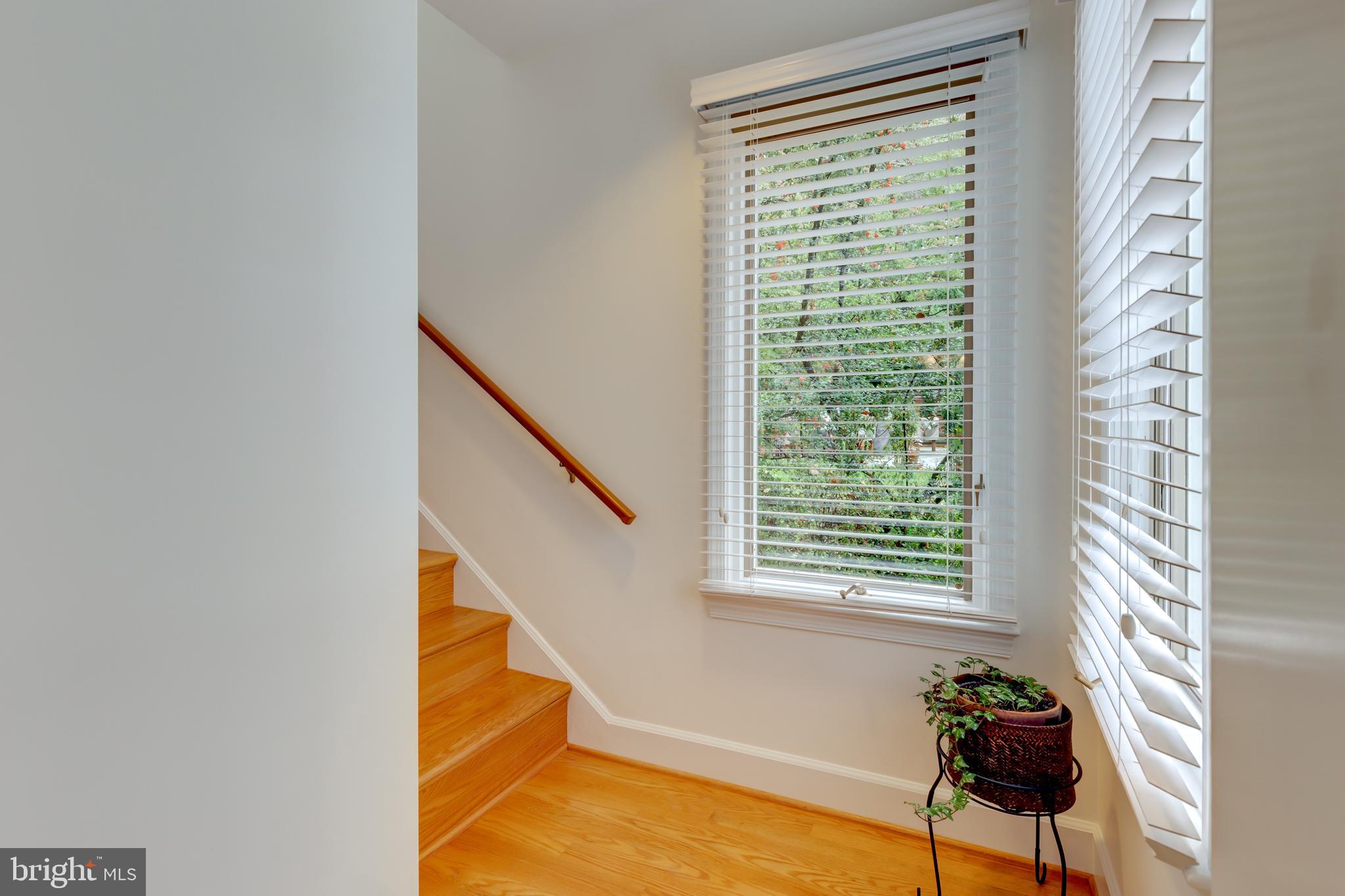 6524 East Halbert Road Bethesda, MD 20817 - Photo 39 of 68 Gallery Image 39
