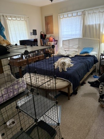 2513 Hazard Street Houston, TX 77019 - Photo 12 of 18