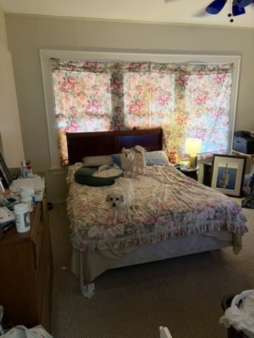 2513 Hazard Street Houston, TX 77019 - Photo 15 of 18 a bedroom with a bed a window and a night stand