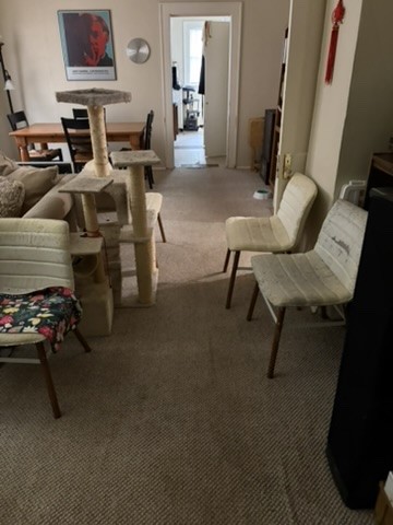 2513 Hazard Street Houston, TX 77019 - Photo 10 of 18 a living room with furniture and a flat screen tv