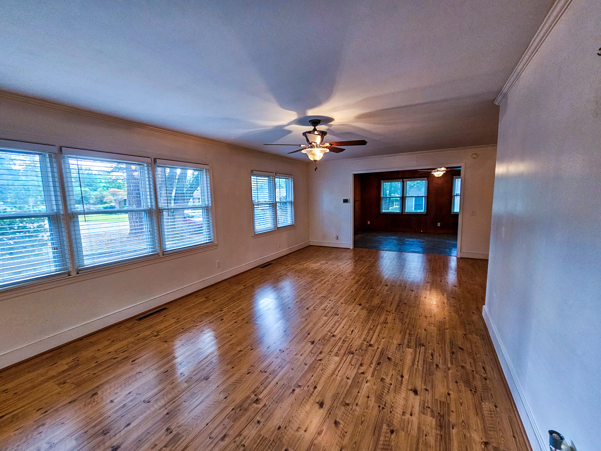 208 Holly Road Walterboro, SC 29488 - Photo 10 of 49 20251030_121039