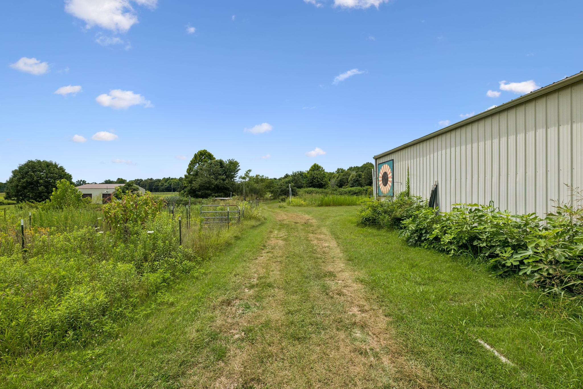 3384 Maxie Jones Road Springfield, TN 37172 - Photo 46 of 66