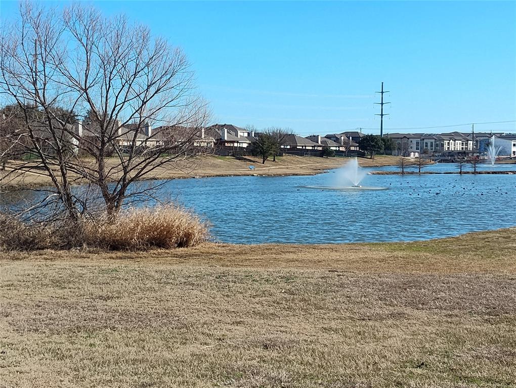 11705 Netleaf Lane Fort Worth, TX 76244 - Photo 16 of 20