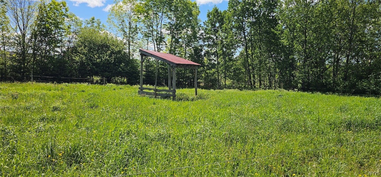 Sprouls Road Cortland, NY 13045 - Photo 20 of 48