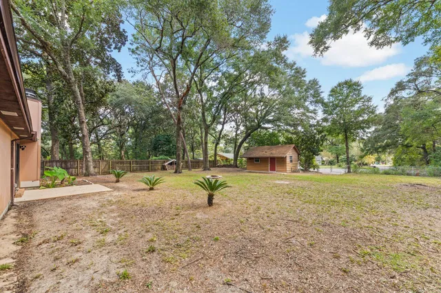 a view of a backyard with large trees