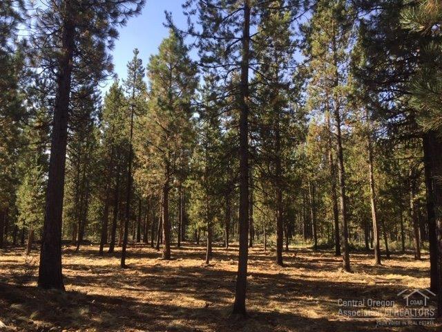 17045 Indio Road Bend, OR 97707 - Photo 15 of 16 Additional Photo