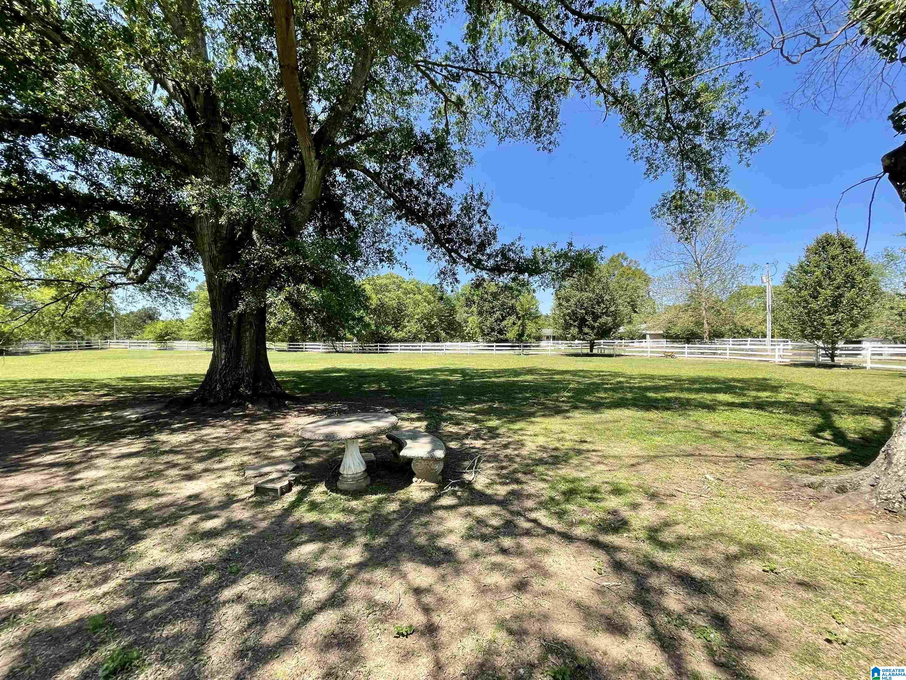 400 Fish Trap Road Cropwell, AL 35054 - Photo 45 of 54