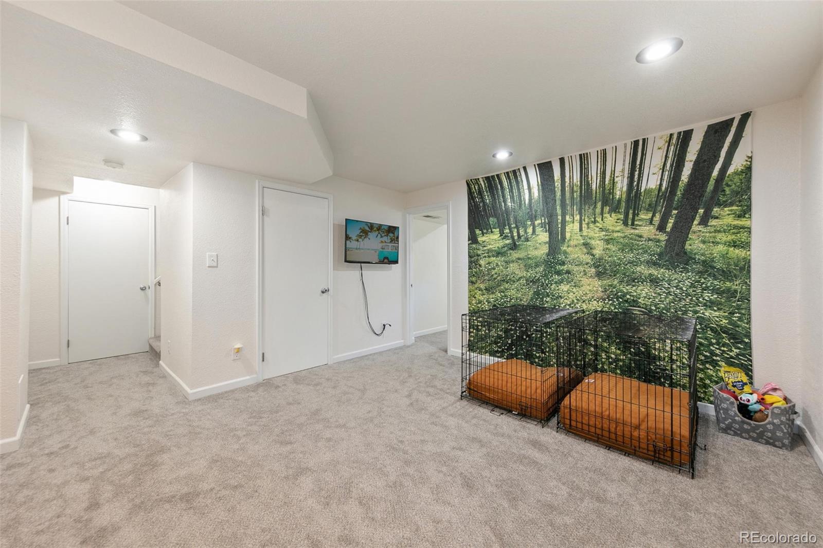 13539 Elsie Road Conifer, CO 80433 - Photo 24 of 30 Gallery Image 24