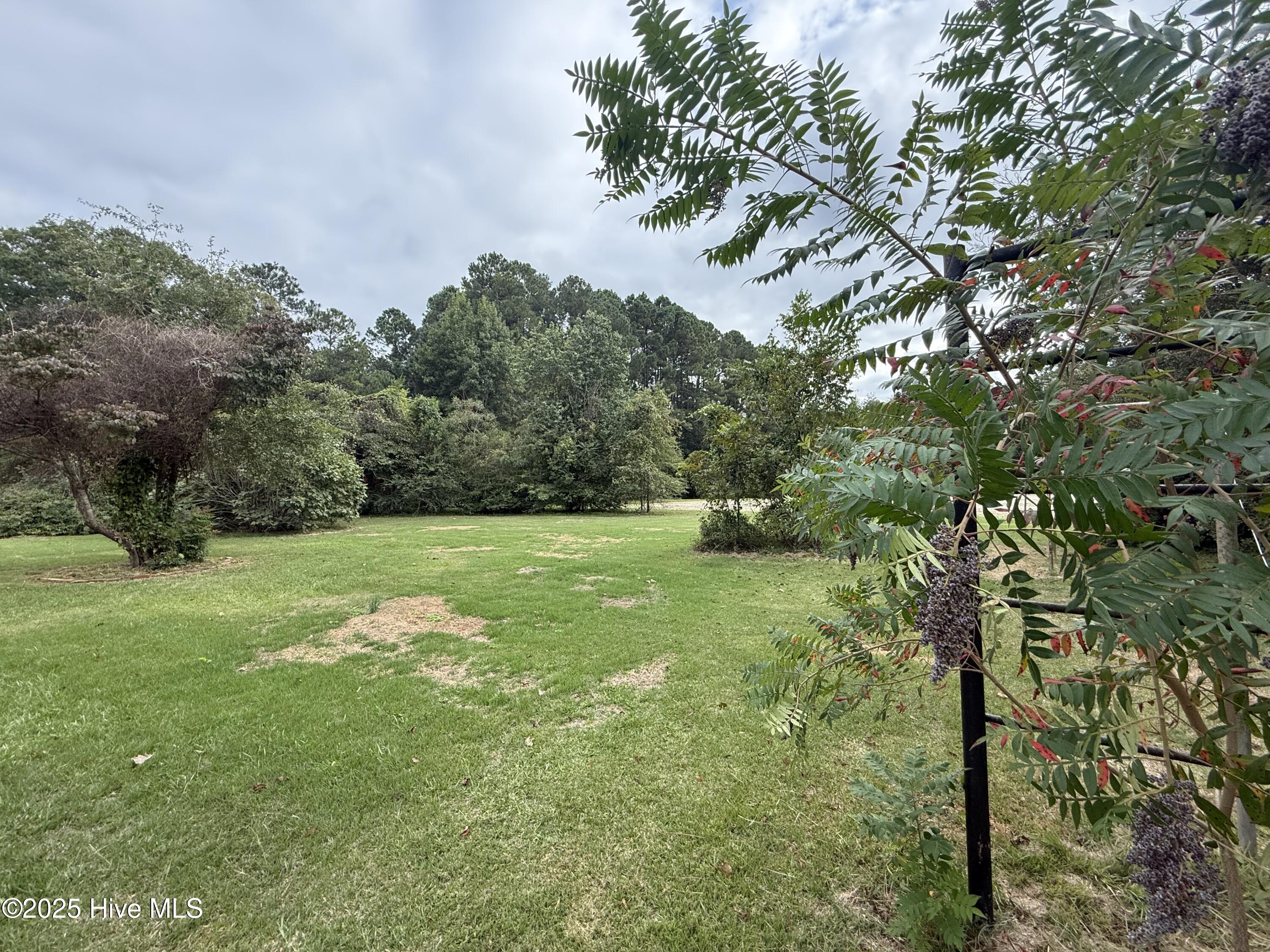 207 Old Roper Road Plymouth, NC 27962 - Photo 22 of 30 23