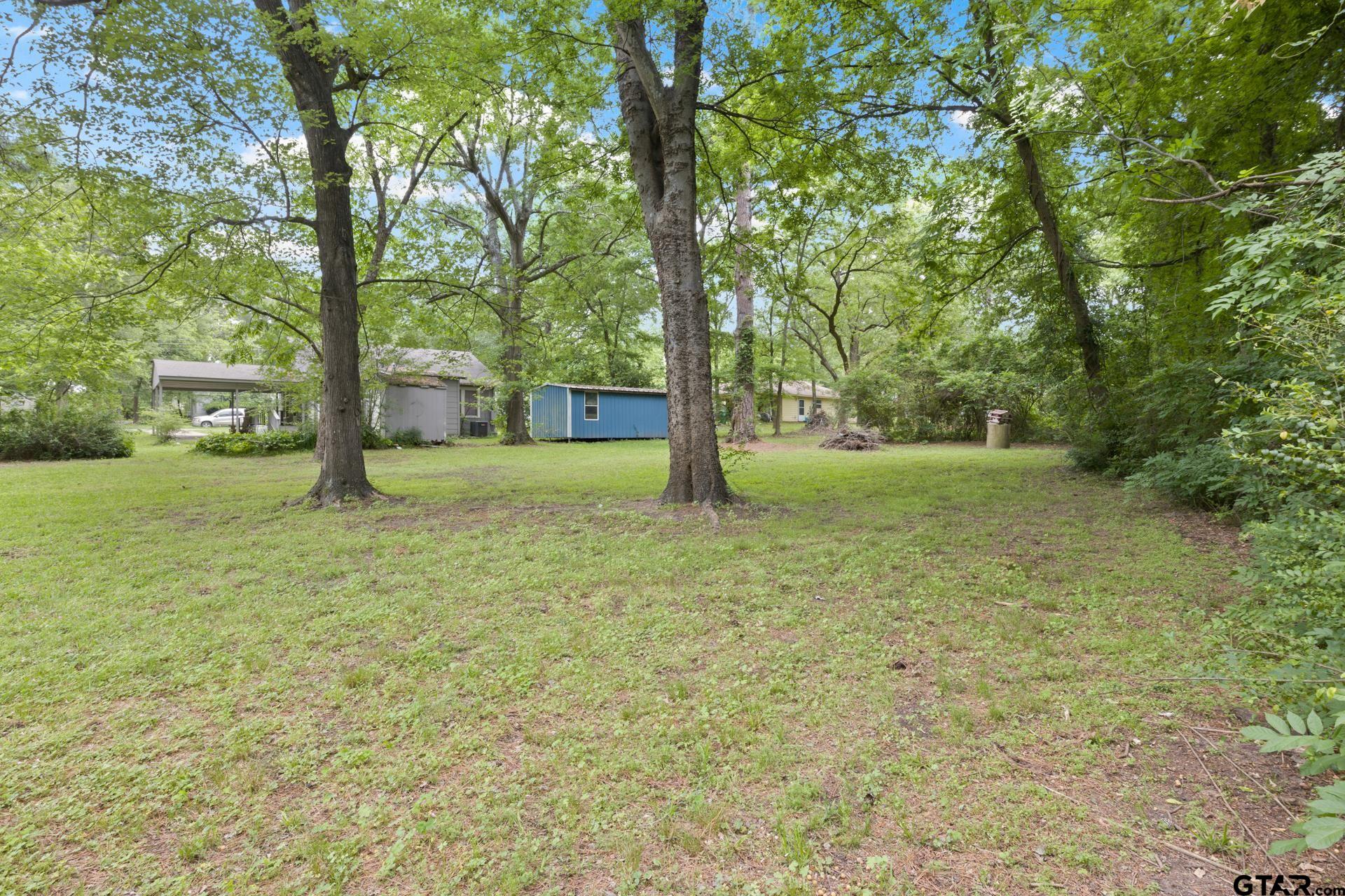 403 Pace Street Naples, TX 75568 - Photo 35 of 36