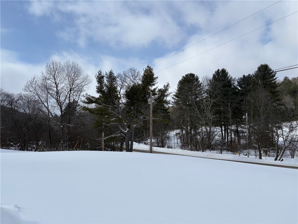 12483 Sawmill Run Road South Valley, NY 14738 - Photo 9 of 49