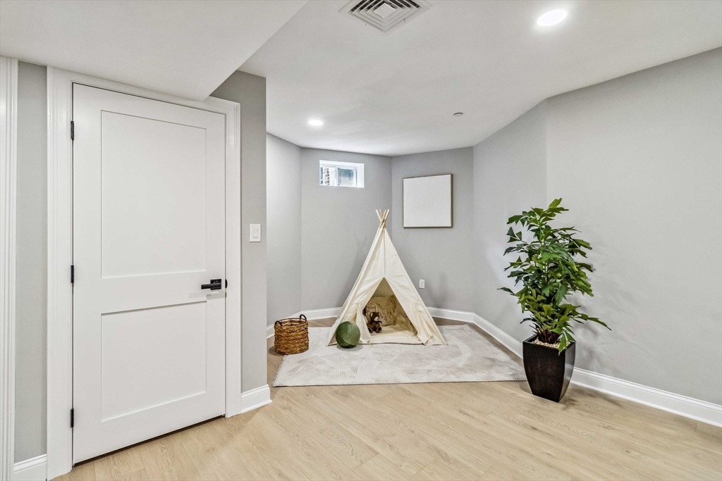16 Alston Street, Unit 16 Somerville, MA 02143 - Photo 21 of 39 a living room with a potted plant