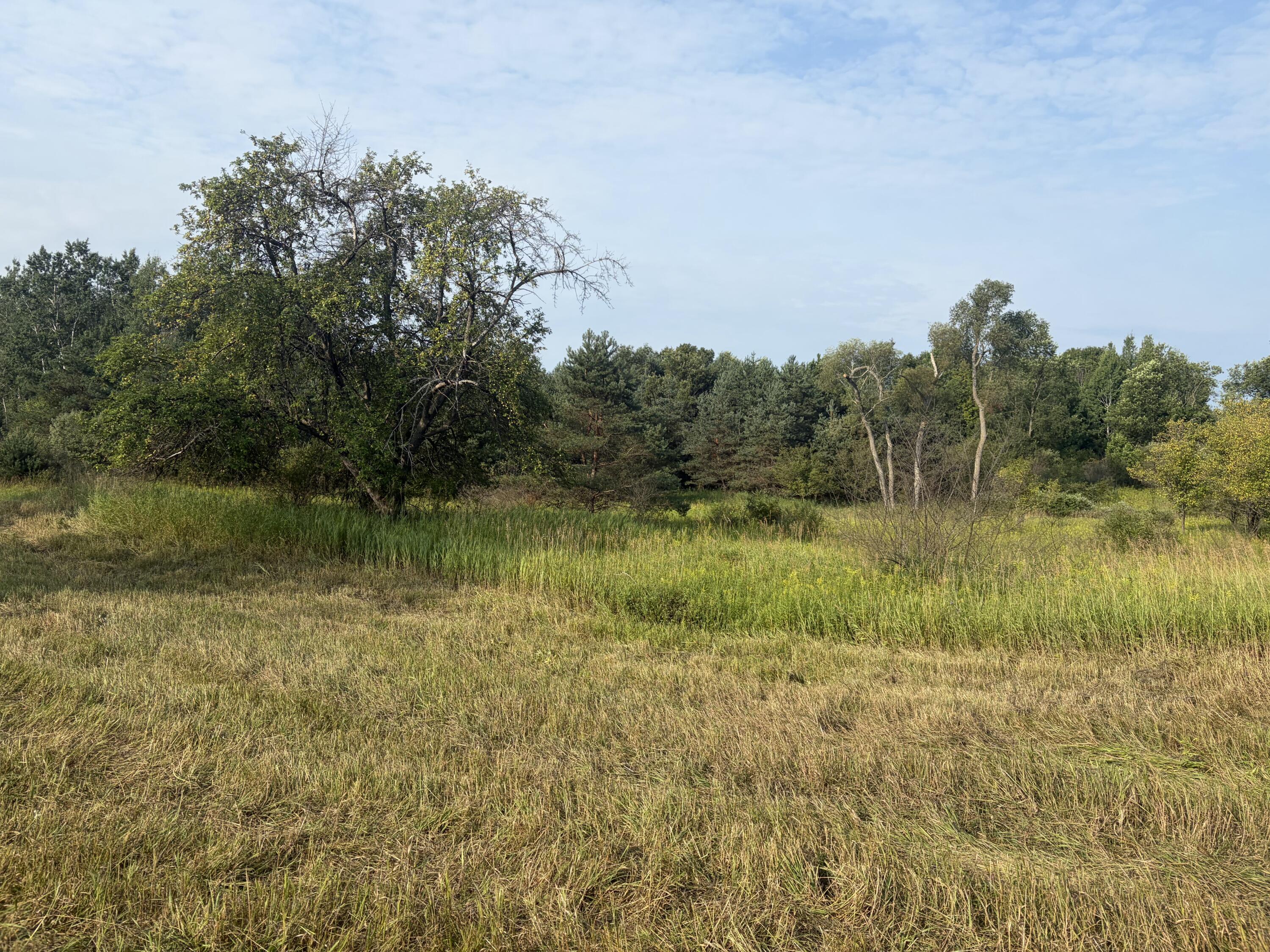23169 1 Mile Road Reed City, MI 49677 - Photo 2 of 3 IMG_3185
