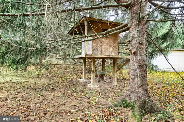 a view of outdoor space and yard
