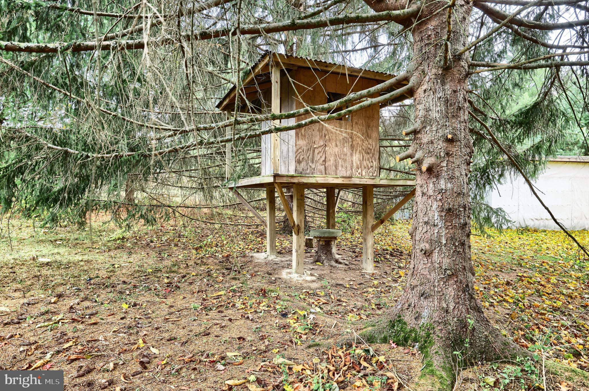 4599 Carlisle Road Gardners, PA 17324 - Photo 34 of 48 Secluded treehouse nestled among the pines.