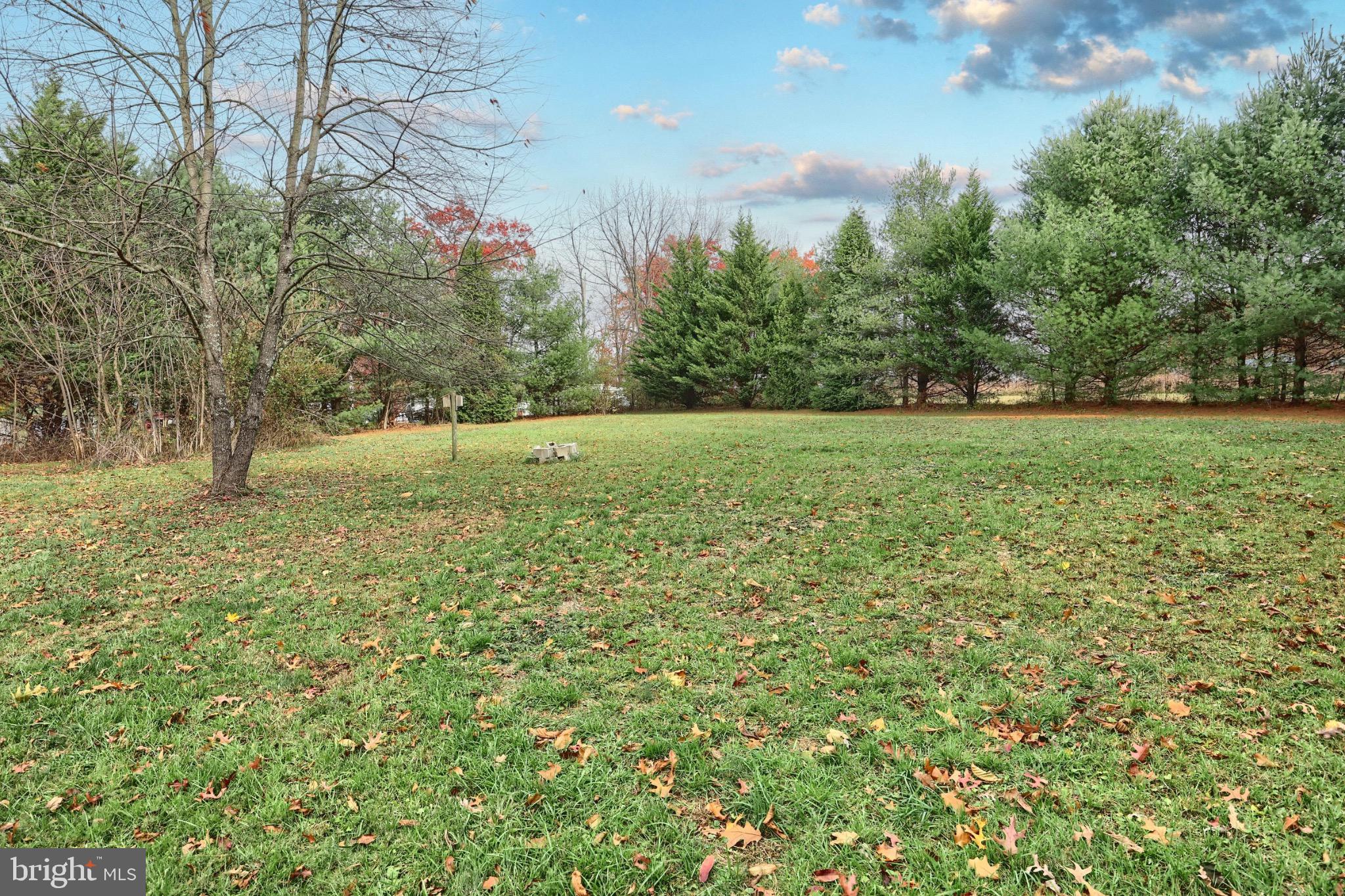 4599 Carlisle Road Gardners, PA 17324 - Photo 36 of 48 Serene green space with lush trees.