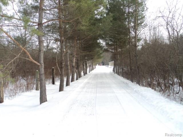7640 Cribbins Road Jeddo, MI 48032 - Photo 2 of 43 7640 CRIBBINS 001.jpg