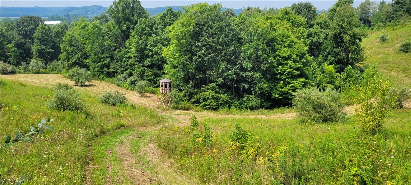 Southeast Edwards Ridge Road Southeast Uhrichsville, OH 44683 - Photo 12 of 34 Gallery Image 12