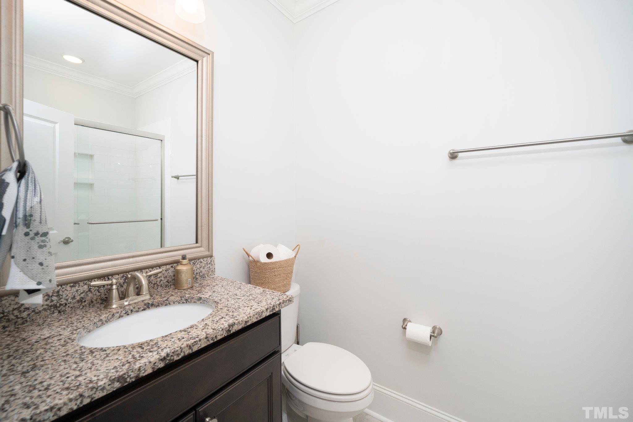 3271 Ripley River Road New Hill, NC 27562 - Photo 20 of 48 a bathroom with a granite countertop sink a toilet and a mirror