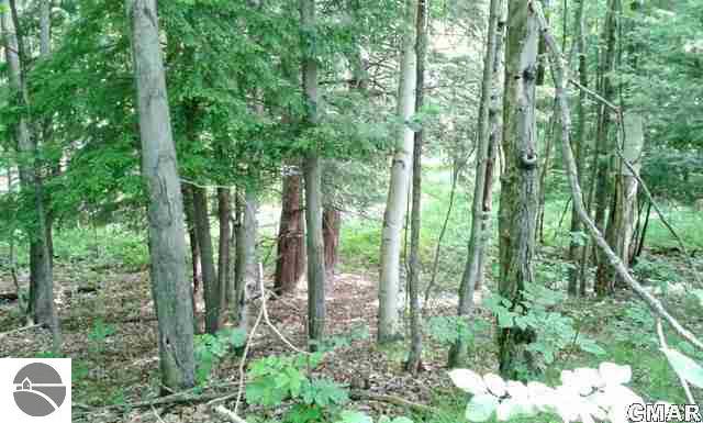 11660 West Bawkey Road Lake, MI 48632 - Photo 21 of 25 1769900-20.JPG