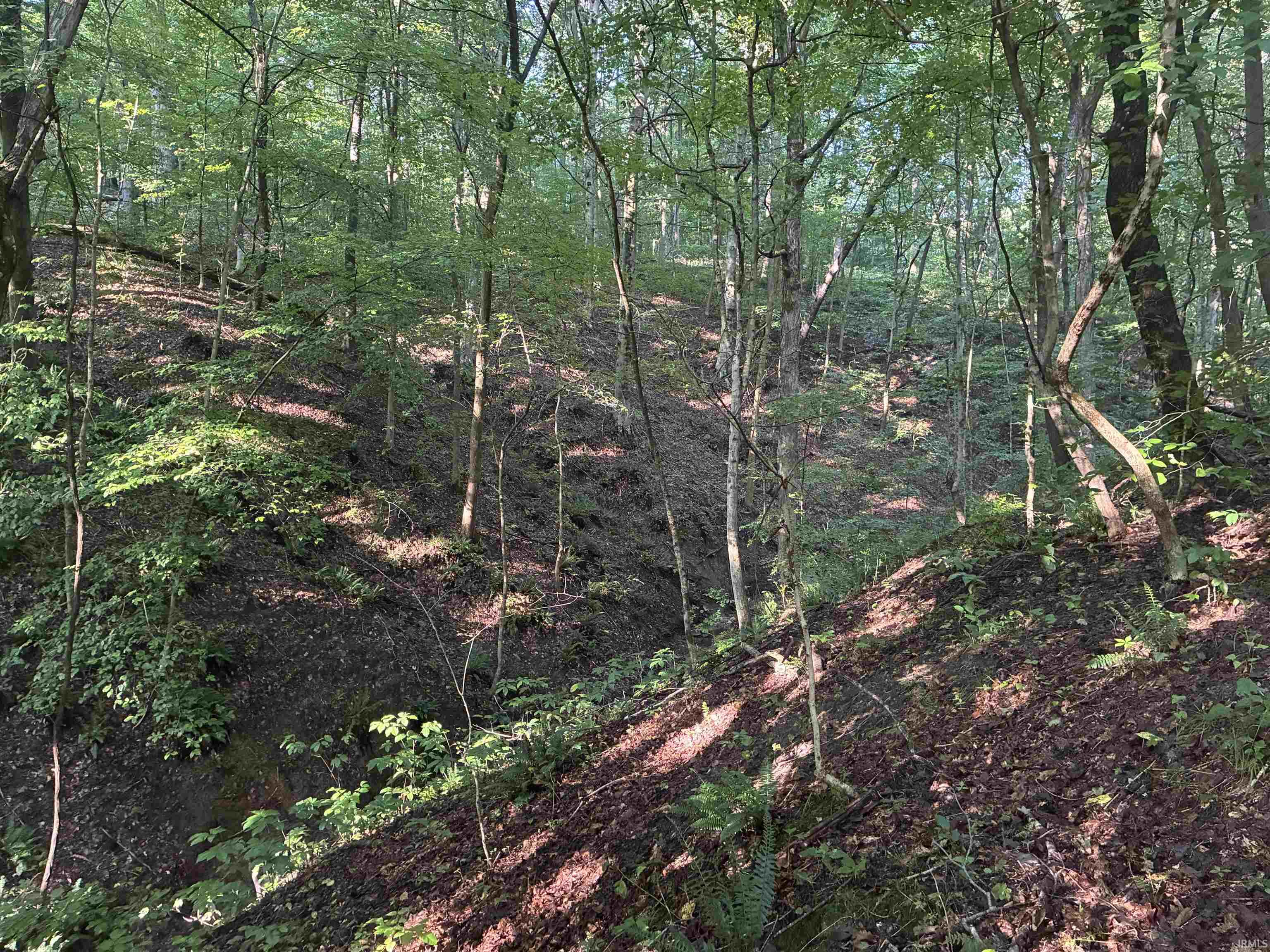 0 Co Road Hazleton, IN 47640 - Photo 21 of 27 Gallery Image 21
