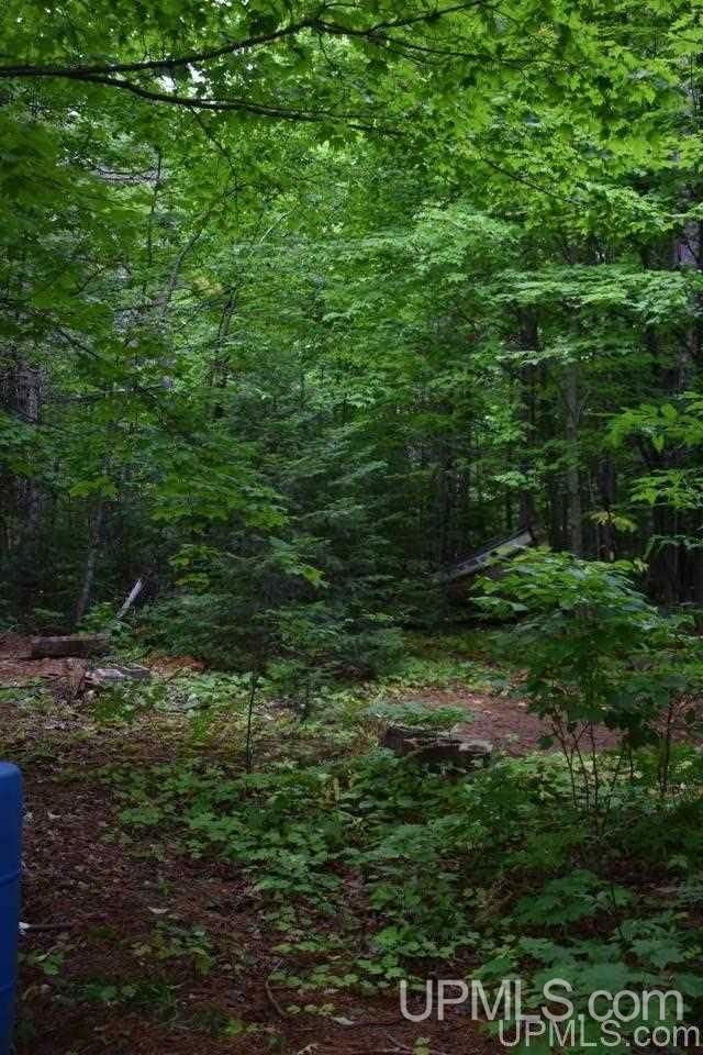 21 Forge Road Negaunee, MI 49866 - Photo 11 of 53