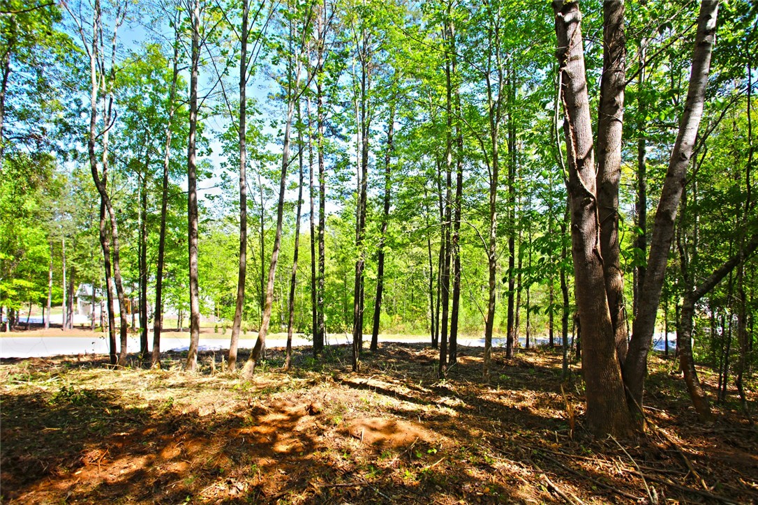 Lot 91 Harbor Point Seneca, SC 29672 - Photo 24 of 24 This tranquil wooded lot offers a peaceful retreat with mature trees, perfect for a custom home.