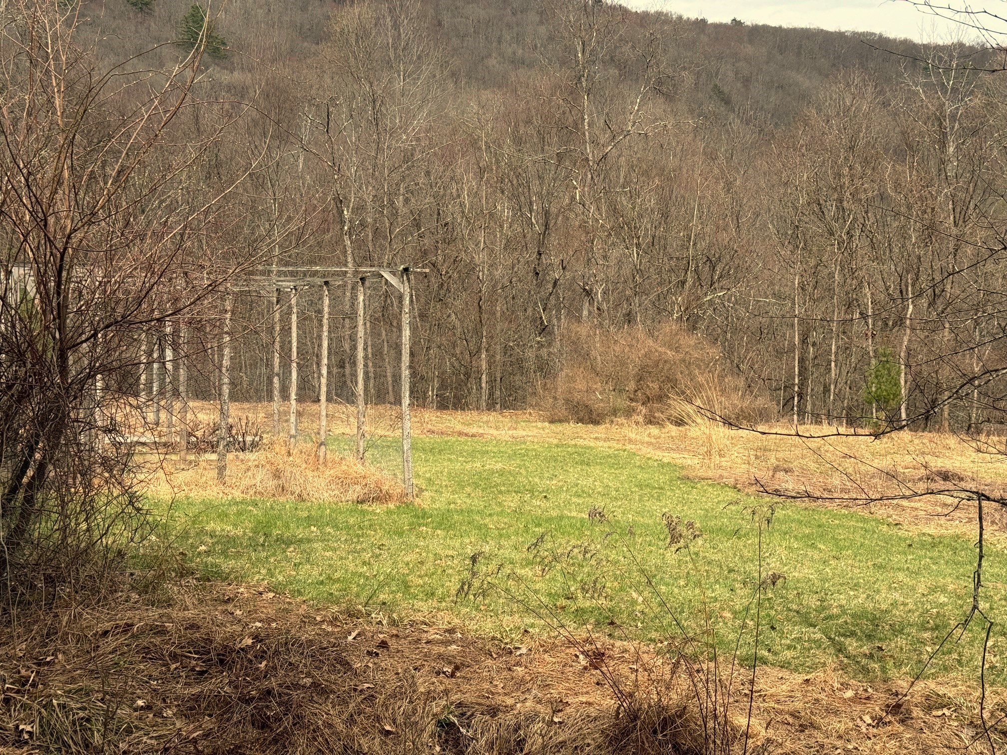 2522 Bouchouxville Road Hancock, NY 13783 - Photo 38 of 50