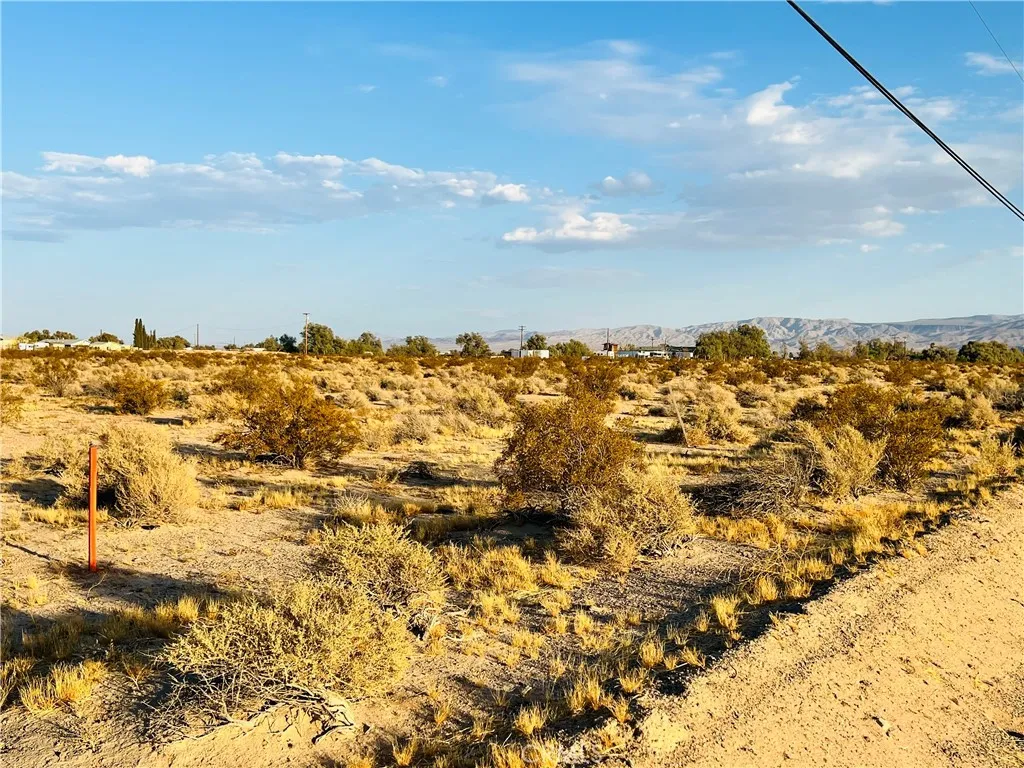 0 Newberry Road Newberry Springs, CA 92365 - Photo 3 of 9