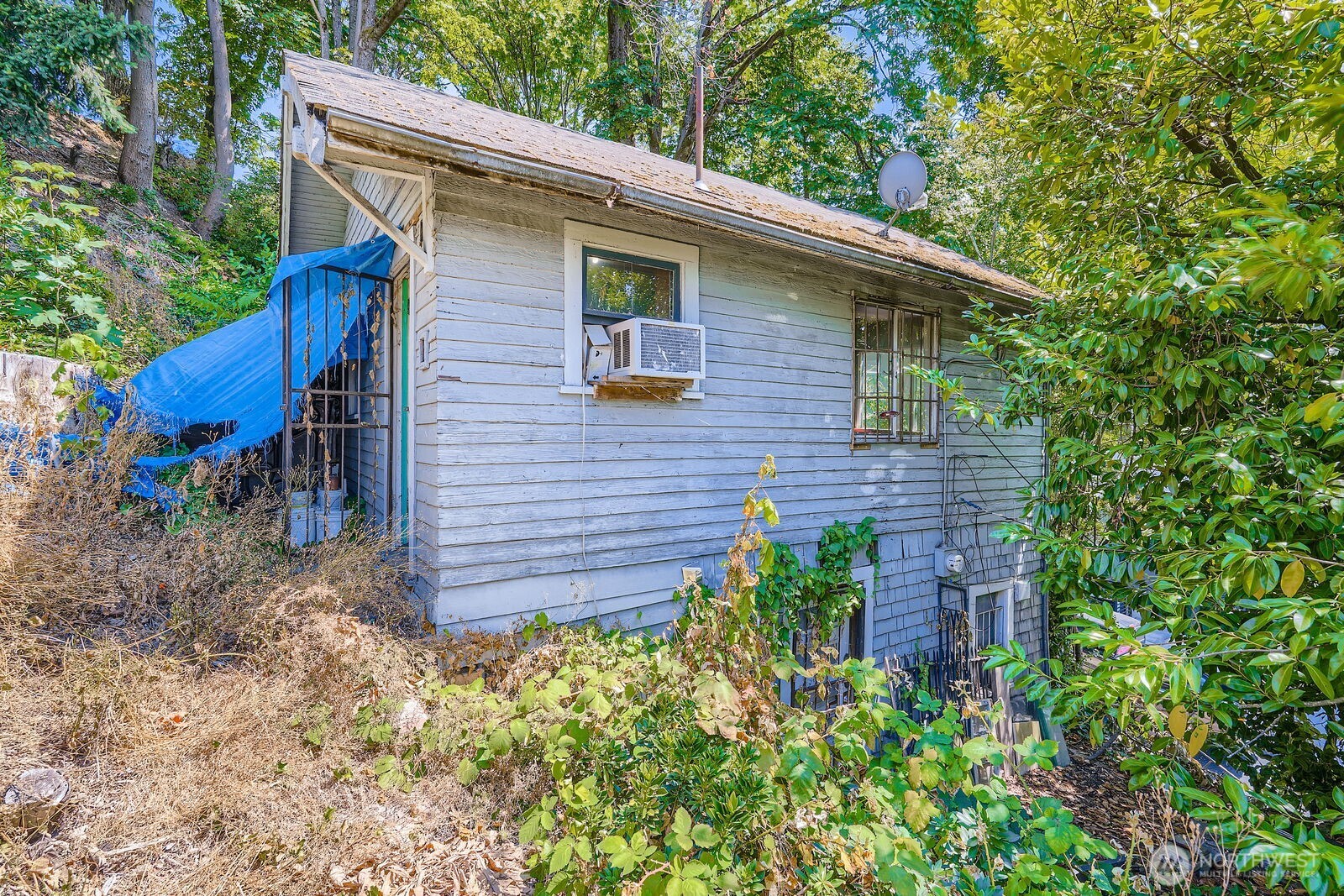 2814 South Grand Street Seattle, WA 98144 - Photo 19 of 23 a view of a house with a yard