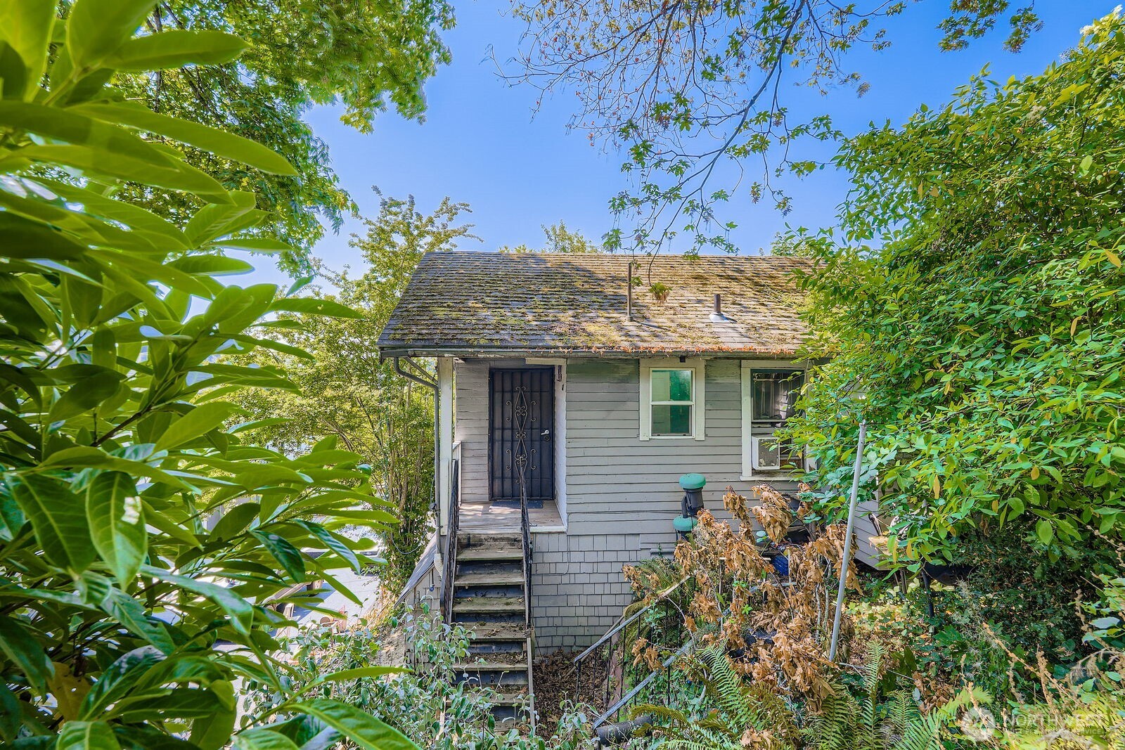 2814 South Grand Street Seattle, WA 98144 - Photo 20 of 23 front view of a house with a tree