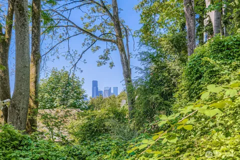 a view of a roadside