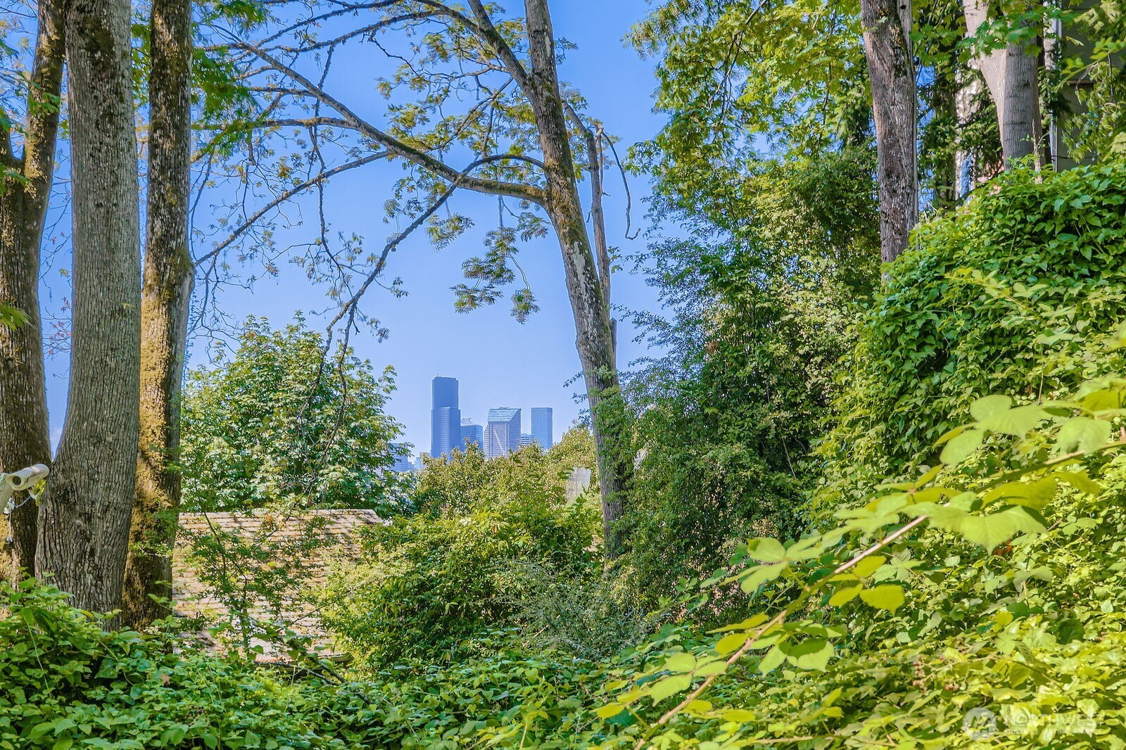 2814 South Grand Street Seattle, WA 98144 - Photo 22 of 23 an aerial view of residential house with outdoor space