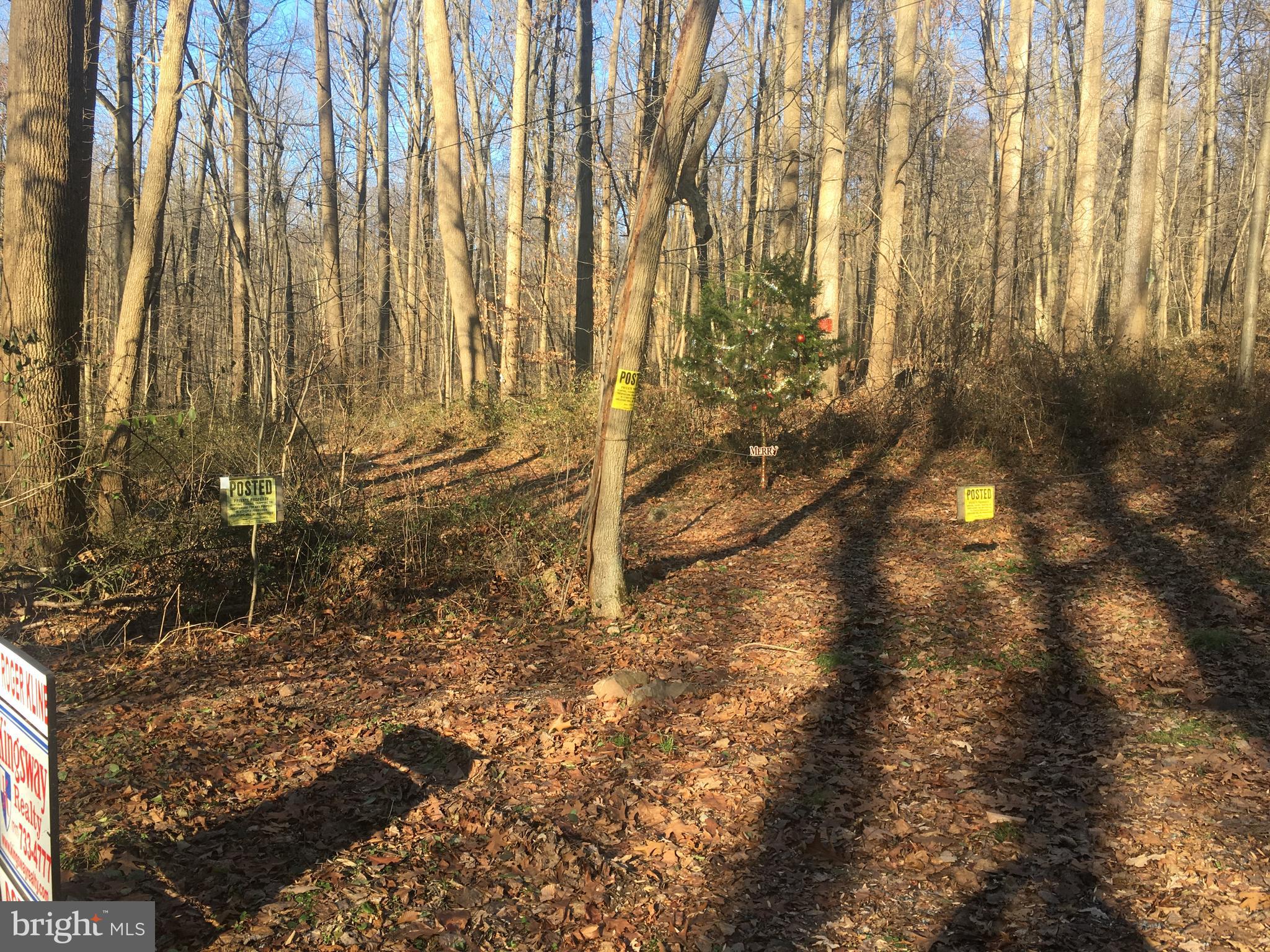 0 Mountain Spring Road Stevens, PA 17578 - Photo 1 of 1