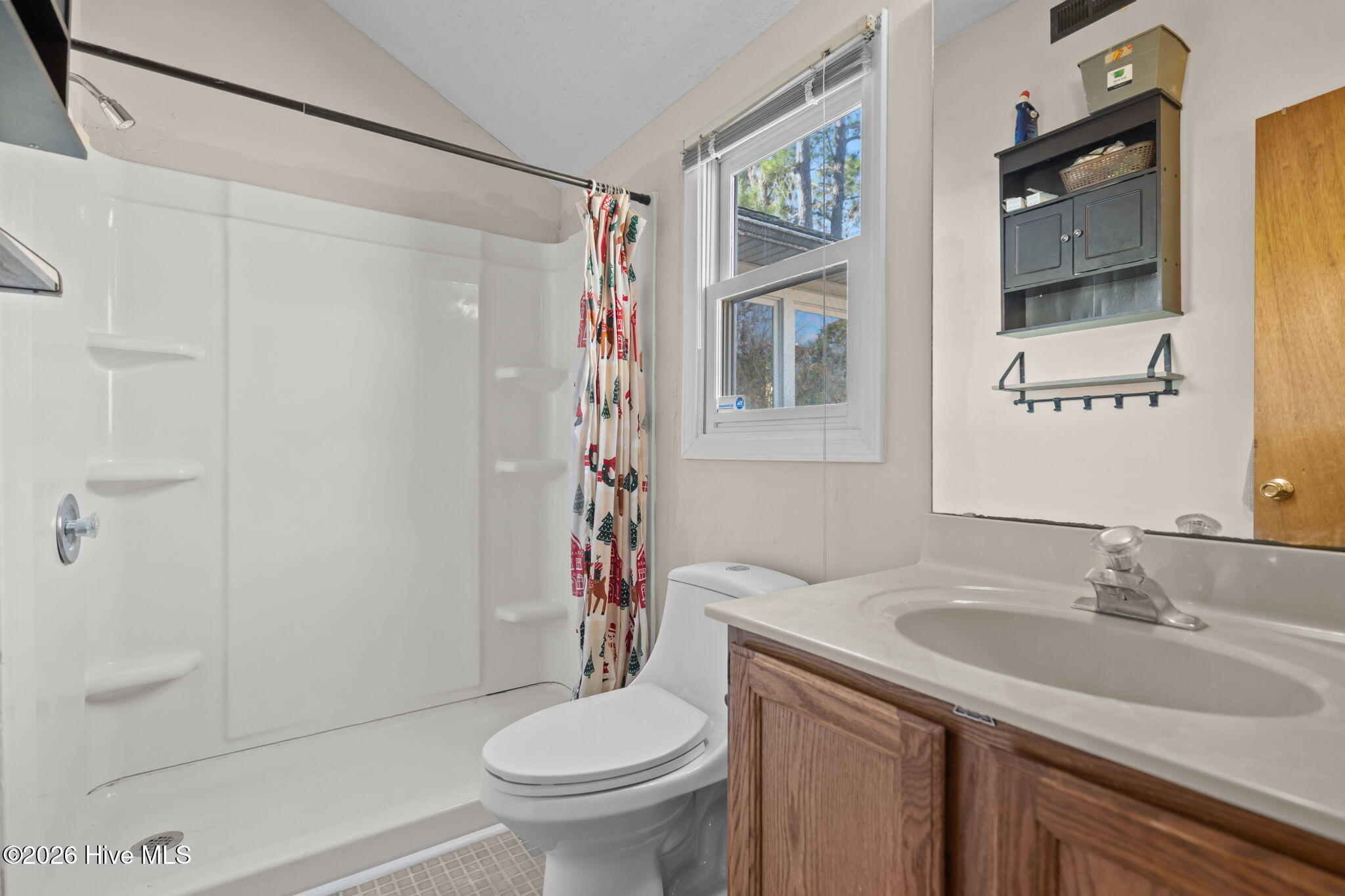 7005 Quail Woods Road Wilmington, NC 28411 - Photo 18 of 34 9-web-or-mls-DSC02267