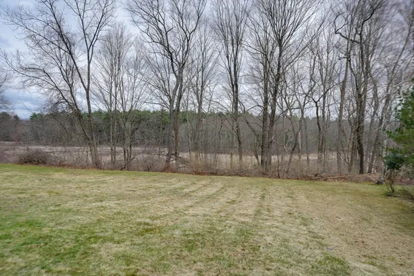 a view of a yard with a trees