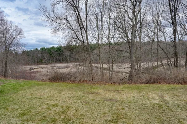 a view of backyard with green space