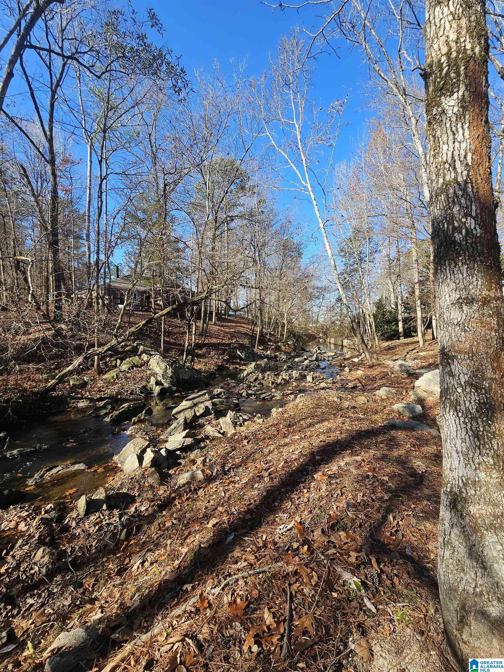 165 Joe's Fish Camp Road Titus, AL 36080 - Photo 31 of 35 Gallery Image 31