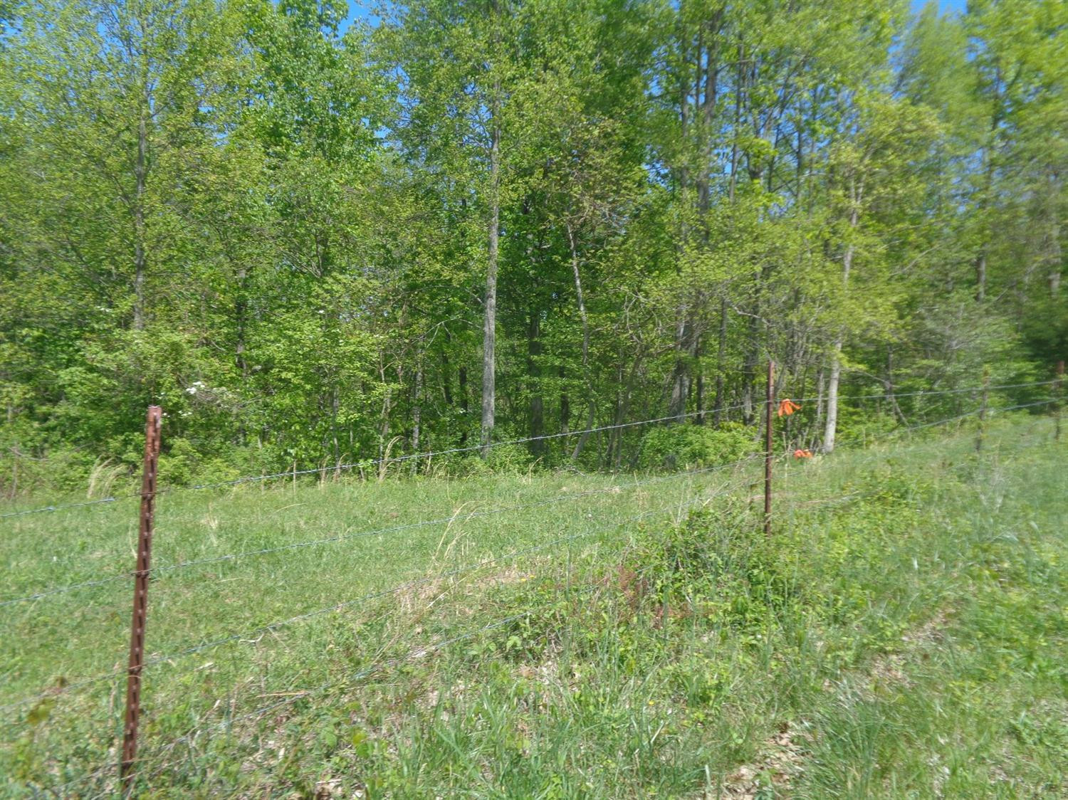 4300 Slate Lick Road London, KY 40741 - Photo 8 of 18 Listing Photo